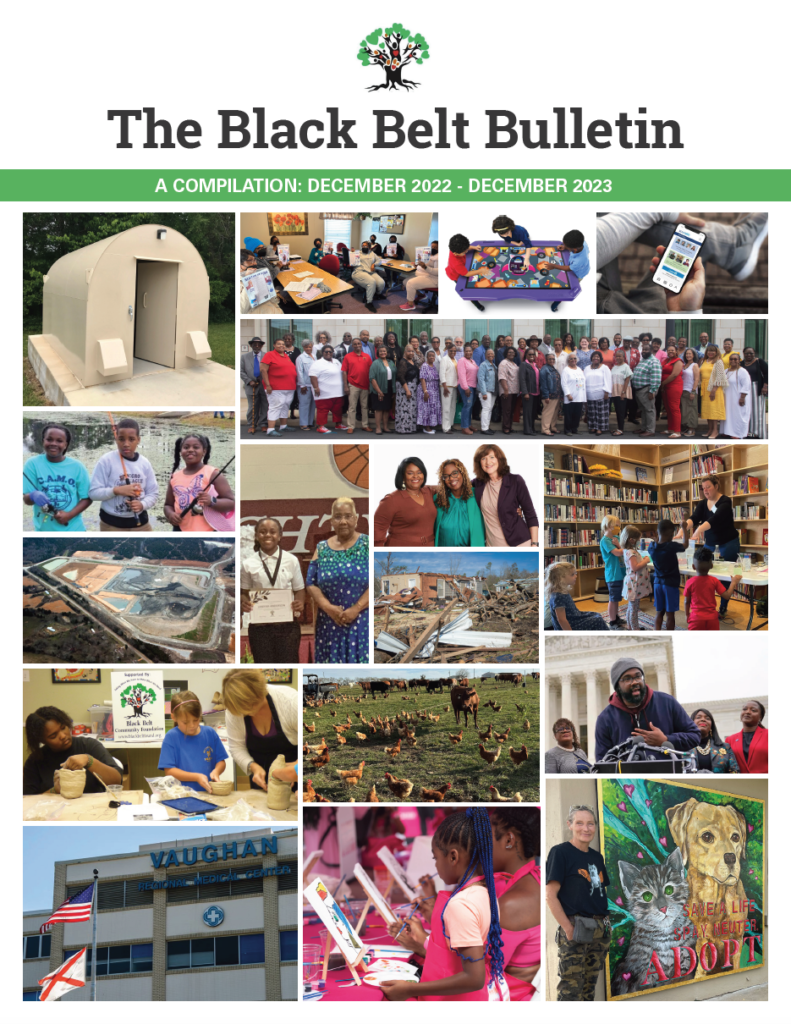 Cover image of Black Belt Bulletin Compilation