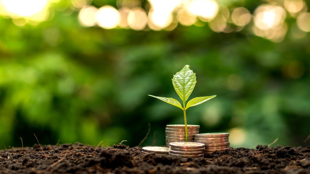 A seedling growing on a pile of coins has a natural backdrop, blurry green, money-saving ideas and economic growth.